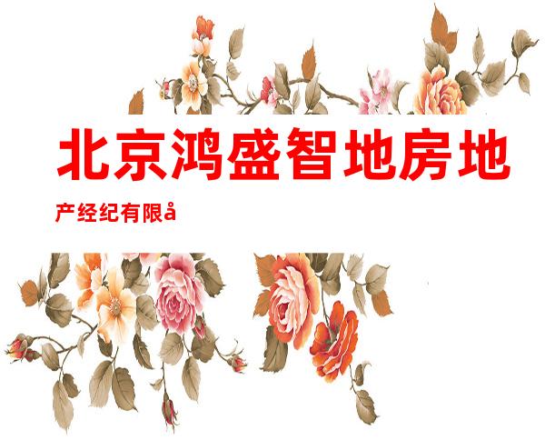 北京鸿盛智地房地产经纪有限公司