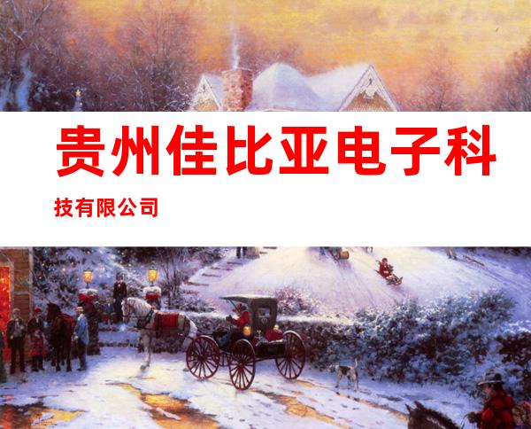 贵州佳比亚电子科技有限公司
